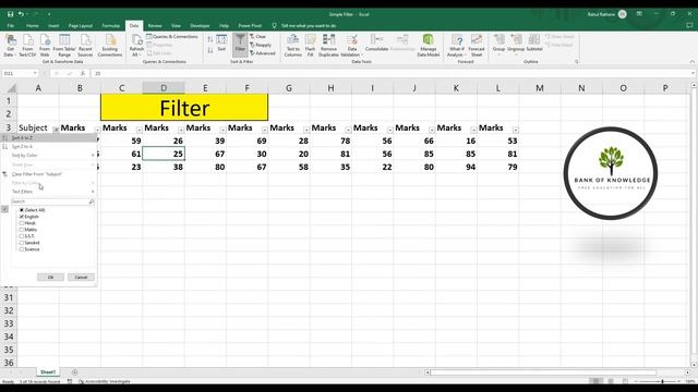 How To use Filter Function in Excel. (Hindi) Simple Filter Function. Basic Excel. @bankofknowladge смотреть онлайн