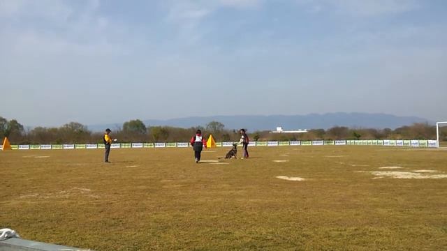 [Xido] 2013 WUSV JAPAN TRIAL. смотреть онлайн