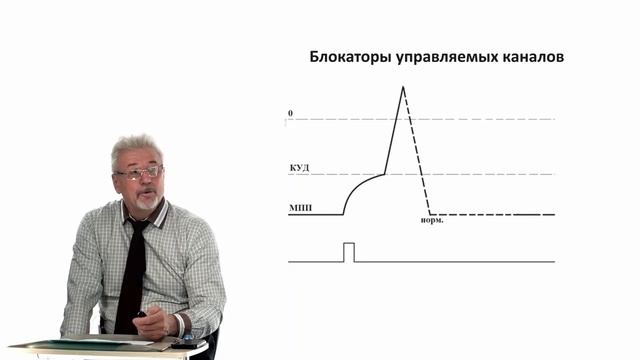 Евсеев А.В. Нормальная физиология. Лекция №6. Природа КУД и рефрактерности. Законы раздражения. 202 смотреть онлайн