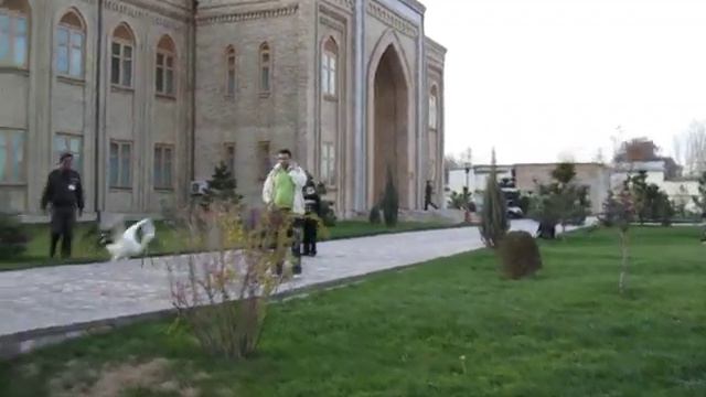 Ташкент. Аисты смотреть онлайн