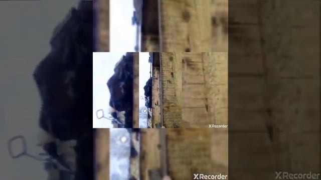 Приколы на Юпитере и разгон да 100. смотреть онлайн