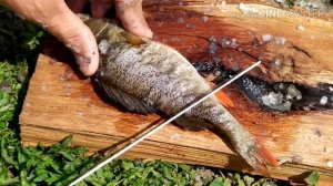 Как почистить чешую с речного окуня?