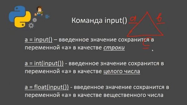 5 Ввод и вывод данных python. Команда input()