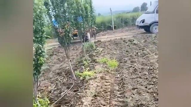 Видео клиента. Работа приствольной почвофрезы DK-UT5 в Дагестане смотреть онлайн