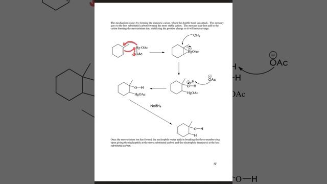 (Test 4) Org I Work Ch 8 alkenes смотреть онлайн