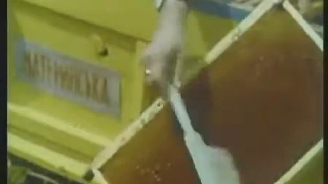 Пчеловодство, медоносные растения СССР смотреть онлайн