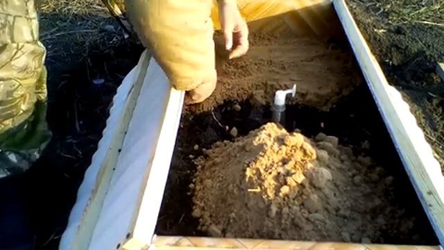 Пасадил арахис в средней полосе .17 апреля . смотреть онлайн