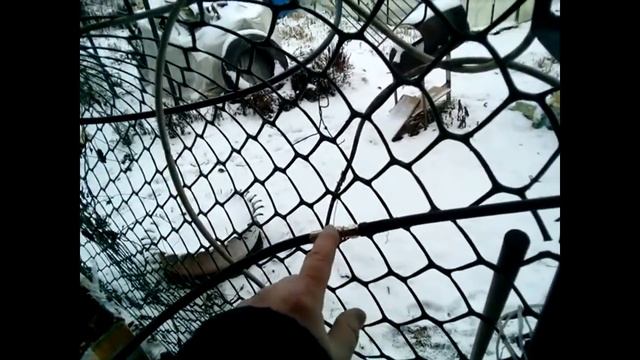 Лучшая антенна для LTE 4G MIMO смотреть онлайн