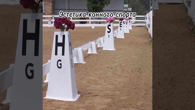 Эстетика конного спорта #конныйспорт #эстетика смотреть онлайн