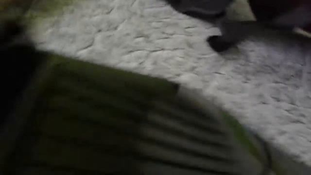 Мне на день рожденья подарили ГЕРО СКУТЕР смотреть онлайн
