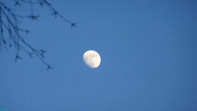 Moon above Moscow - April 11, 2014 смотреть онлайн