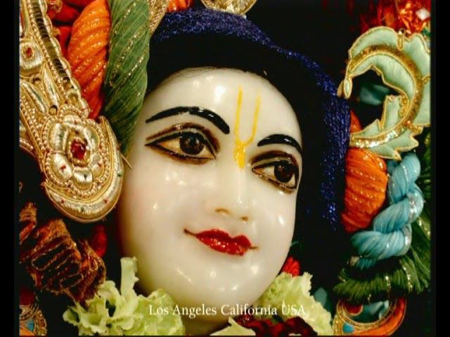 Darshana Krishna Vision