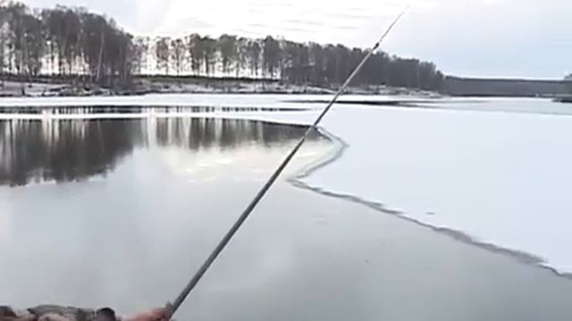 По клёвым местам. Рыбалка на Лобановском пруду смотреть онлайн