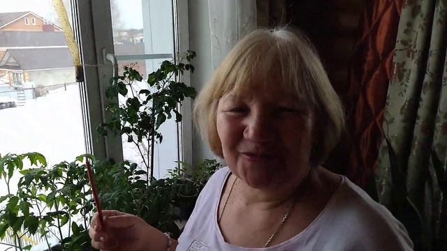 СОБИРАЕМ УРОЖАЙ С ПОДОКОННИКА смотреть онлайн