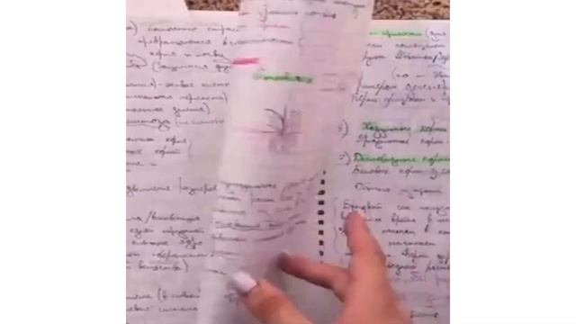 Ксения, ученица моего онлайн курса по подготовке к ОГЭ по биологии. Отзыв смотреть онлайн