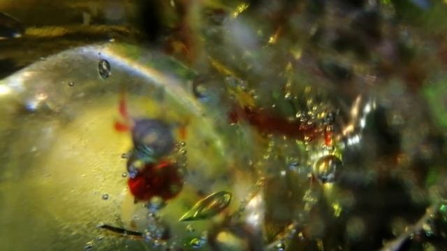 ОШИБКА. МАРИНА ЦВЕТАЕВА. СТИХИ О ЛЮБВИ. ЧИТАЕТ ОЛЬГА ШУБИНА. 26.03.2021 18 + смотреть онлайн