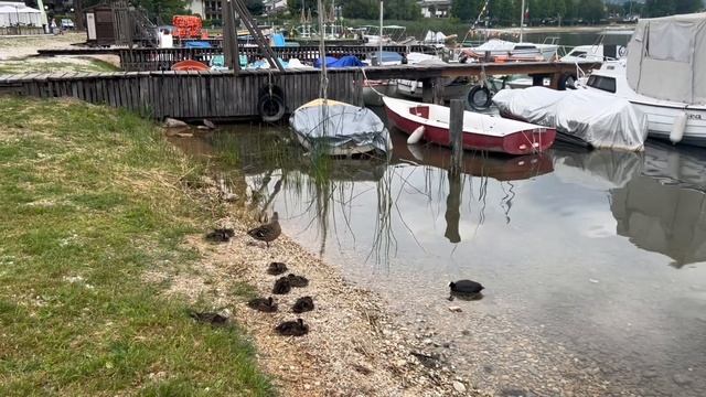 ❣️Italy??Trentino..горные озера смотреть онлайн