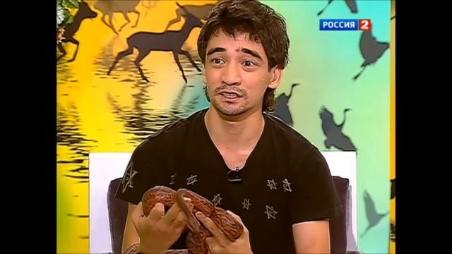 Арслан Валеев на передаче «В мире животных» смотреть онлайн