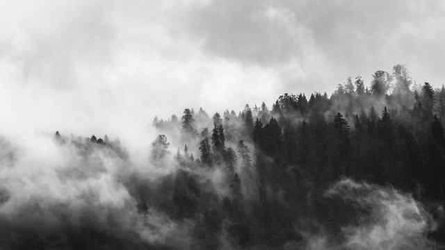 Black Metal Drum Track (90 BPM) Backing Track || DRUMS ONLY [2020] смотреть онлайн