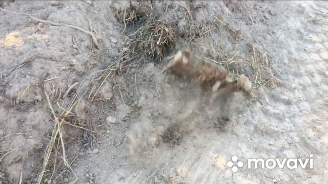 Коп МЕТАЛЛОЛОМА В МЕСТАХ МОРДОВИИ ))) смотреть онлайн