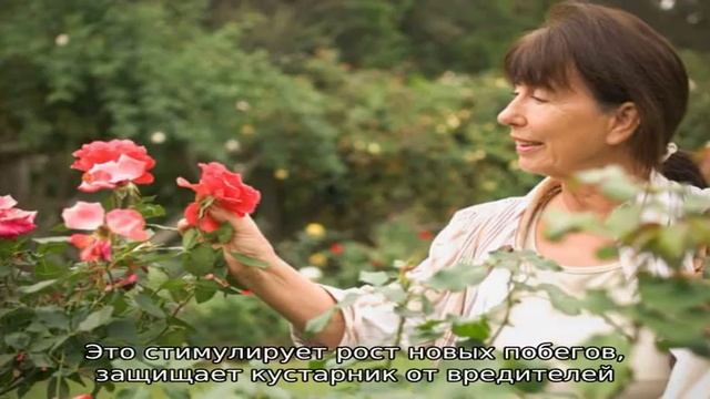 Строительная Таймлайн