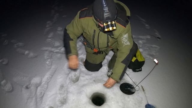 Первая поклёвка. Адреналин зашкаливает / The first bite. The adrenaline is going through the roof смотреть онлайн