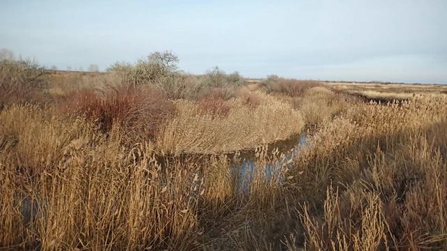 Степная речка в октябре смотреть онлайн