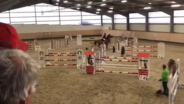 Deja Vue (11 yo Diamant de Semilly x Carolus) Moosbeuren 2019 смотреть онлайн