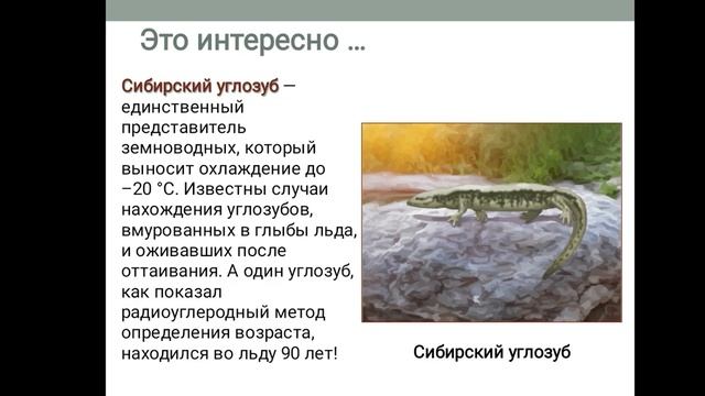 присутствуют запинается читателя* смотреть онлайн