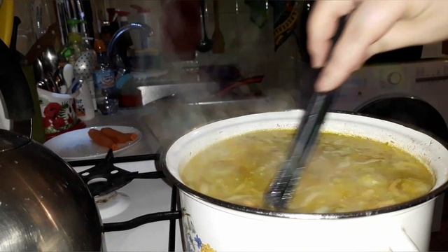 Домашние Животные и Их Уход