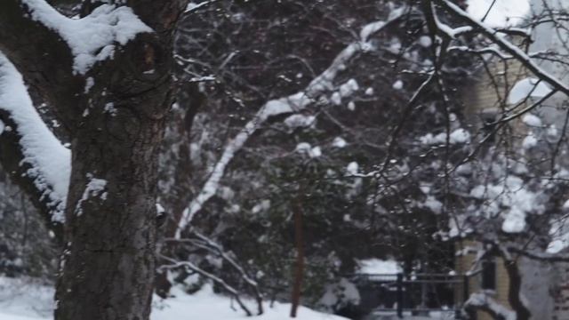 Fed Industar-10 50mm f/3.5 Collapsible Video Test смотреть онлайн