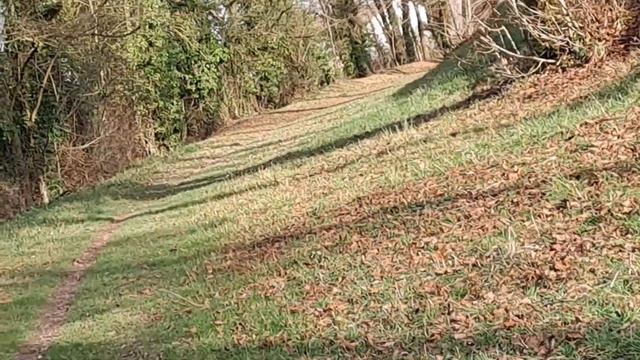 65 ОДНО ЯЙЦО ДВА РАЗА НЕ ВЫСИДИШЬ