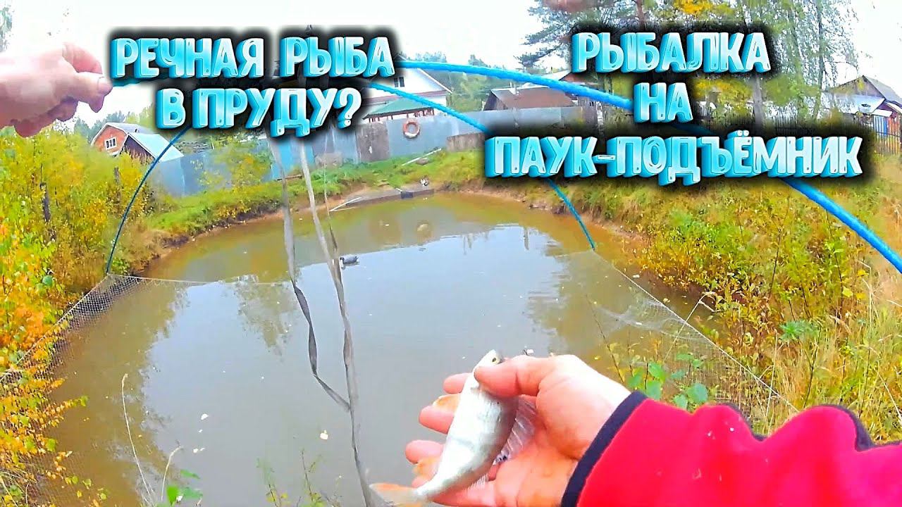 Речная рыба в пруду? Рыбалка на паук подъёмник. смотреть онлайн
