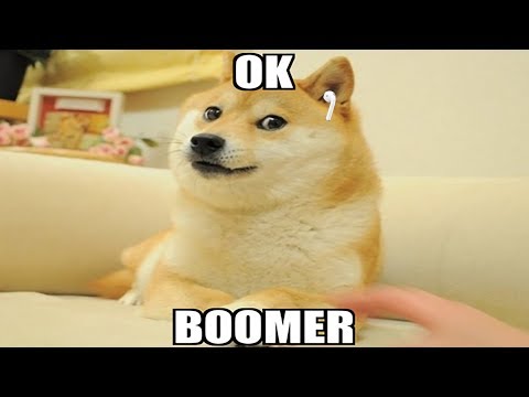 OK Boomer Song
