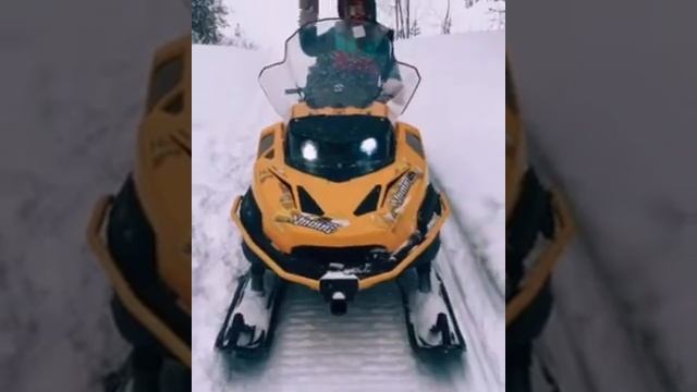 Катаемся на снегоходе Stels Viking 31.01.2021 #stelsviking #velomotors #зимнийлес #усинск #триелки смотреть онлайн