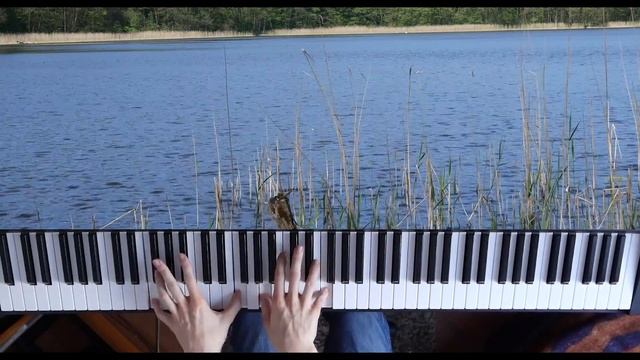 Chopin - Mazurka Op. 68 No. 3 - Ch.Pawlowski (ver1) piano смотреть онлайн