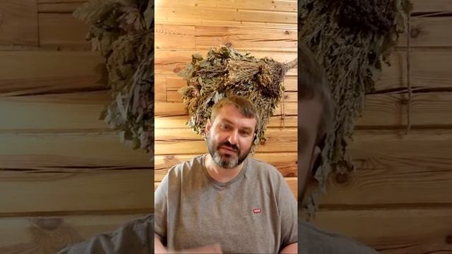 Урок 43. Коллективное парение в Бане смотреть онлайн
