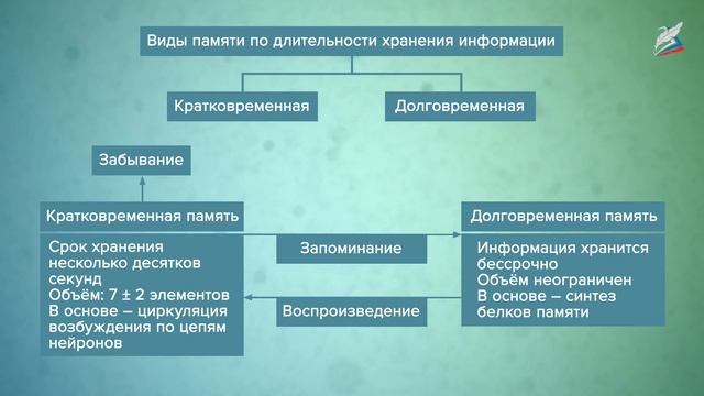 Познавательные процессы и интеллект. Память смотреть онлайн