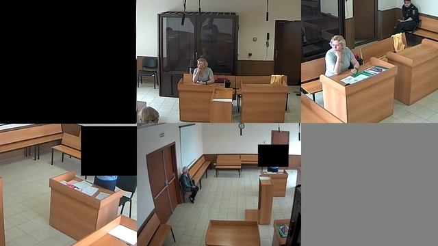 Тушинский районный суд Номер дела/документа: 01-0319/2018 Дата заседания: 15.05.2018 12:30 смотреть онлайн