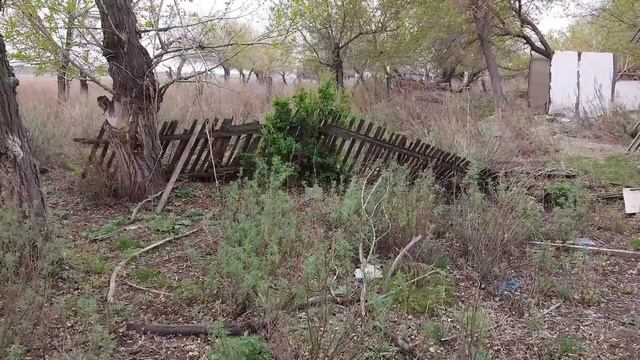 Vlog 28 Перезагрузка: Общий Обзор Посёлка Кушокы Часть 15. Исследование Заброшенных Домов. смотреть онлайн