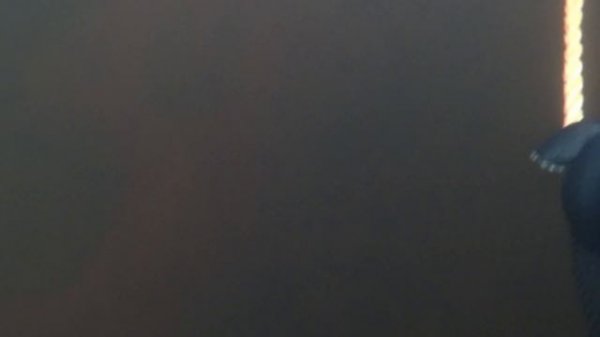 ЗОЛОТОЕ ДНО РЕКИ   GOLDEN BOTTOM