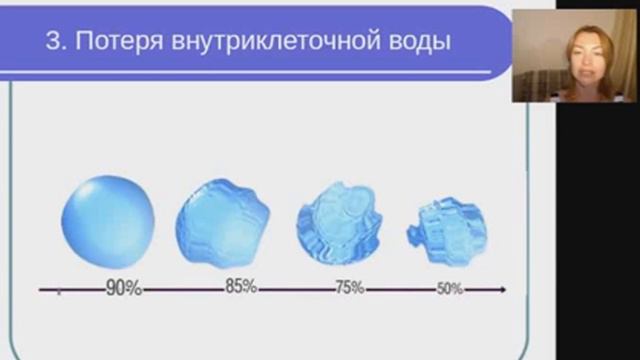 Елена Бахтина.Новая программа Разберись, как не стареть!Белок. смотреть онлайн