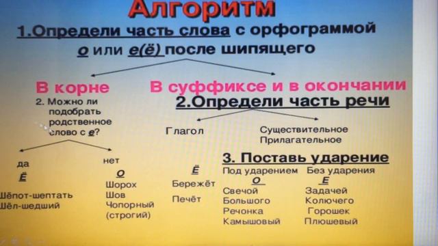 6 кл. Русский язык. Правописание прилагательных. ОЗОШ №8
