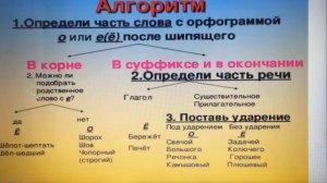 6 кл. Русский язык. Правописание прилагательных. ОЗОШ №8