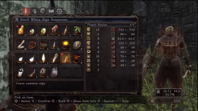 Dark Souls 2 - How To Play Online Co-Op (Small White Sign Soapstone & White Sign Soapstone) смотреть онлайн