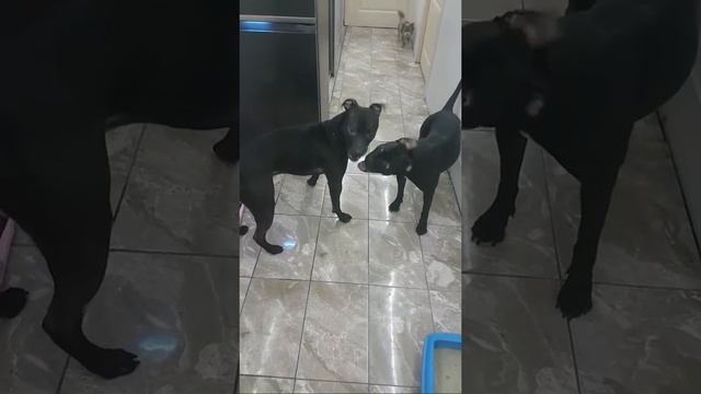 Стрим от 12.11.2020 смотреть онлайн