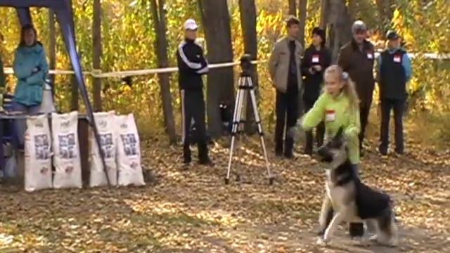 Король Ринга. 3 место - ВЕО Хард смотреть онлайн