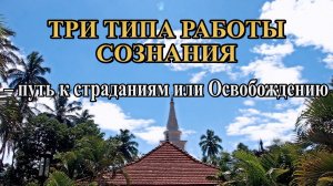 Три типа работы сознания – путь к страданиям или Освобождению.