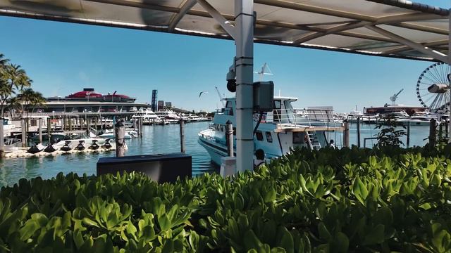 Гуляем по Майами. Местные Достопримечательности. Miami Design District и Bayfront Park