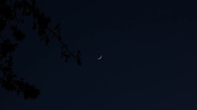 Moon 18% Lit & Fuzzy Mars смотреть онлайн